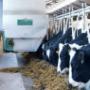 GEA Farm Technologies Suisse AG, Ittigen