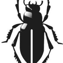 Scarabeo