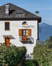 Fattoria L'Amorosa
