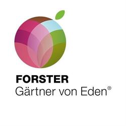 Forster Gartenbau AG Gärtner von Eden