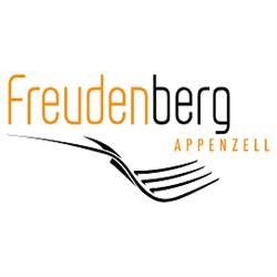 Panorama Hotel Freudenberg AG