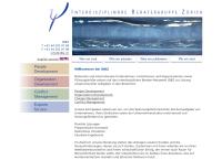Website von profcon GmbH / IdBZ