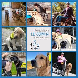 Le Copain