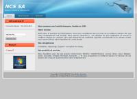 Website von NCS Network Consulting & Services SA