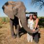 Begegnung mit Elefanten in Botswana