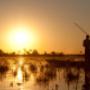 Sonnenuntergang (Okavango Delta, Botswana)