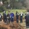 Green-Event-Idee-
