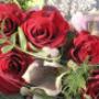 blumen im garten thun gurzelen, blumen im winter t
