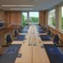 Meetings and Conferences