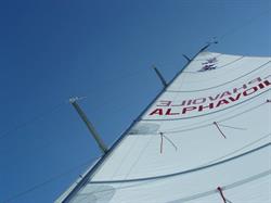 Alphavoile
