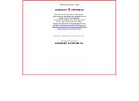 Website von Busenhart + Partner AG