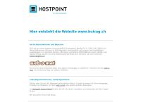 Website von Burckhardt Investcontrol AG