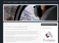 Schibli Consulting AG