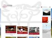 Website von Evolène-Région Tourisme