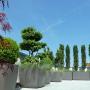 Terrassengestaltung_Zuerich