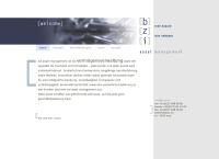 bzi asset management ag