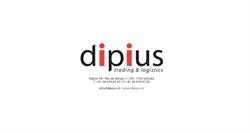 DIPIUS SA