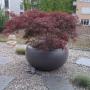 Terrassenbegrünung aller Arten