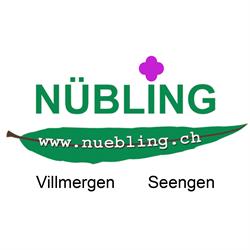 Nübling AG Gartenbau und Landschaftsarchitektur