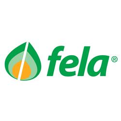 Fela Ticino SA