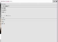 Website von Richner