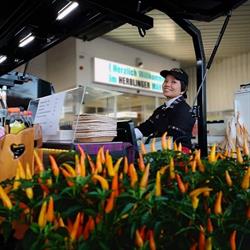 thai-party-service.ch
