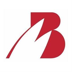 Bürgin Immobilienmarketing
