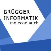 Brügger Informatik