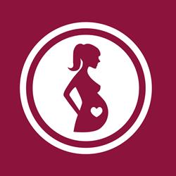 SHV Schweizerischer Hebammenverband