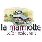 Marmotte