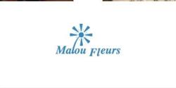 Malou Hämmerli Magasin de fleurs