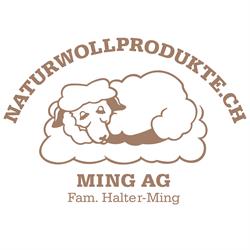 Schreinerei Ming AG