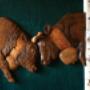 # 6