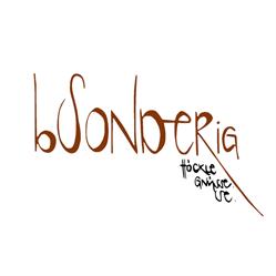 bSONDERig by Frischknecht's