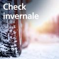 Check invernale a fr. 49.-