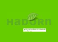 Hadorn Gartenprojekte