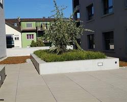 Engesser Gartenbau AG