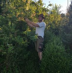 Siegrist naturnahe Gestaltung