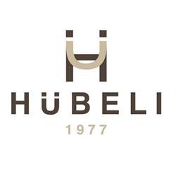 Immobiliengesellschaft Hübeli AG