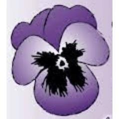 Viola Floristik & Gärtnerei GmbH