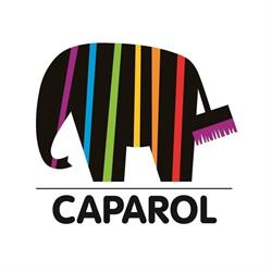 DAW Schweiz AG, Verkaufsstelle Caparol Nänikon
