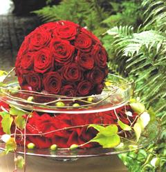 Farben & Formen Petra Bechter