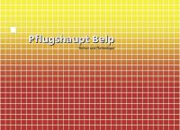 Hansjoerg Pflugshaupt