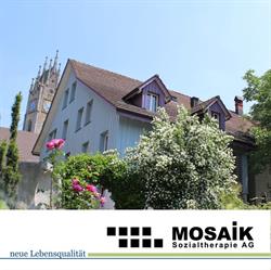 Mosaik Sozialtherapie AG