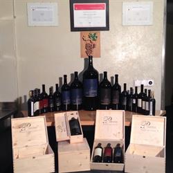 Cantina Pizzorin Vitivinicola di Giancarlo Pestoni