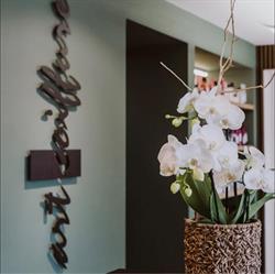 Schmutz Fornasier Christine, Art coiffure