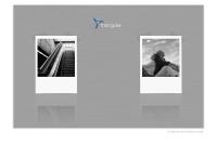 Website von triangular ag