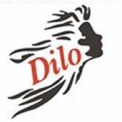 Dilo GmbH