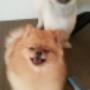 nachher