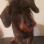 nachher